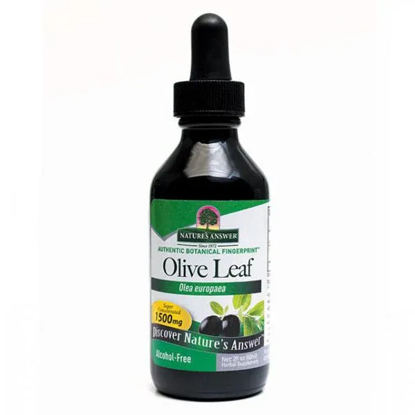 OleoPein Olive Leaf